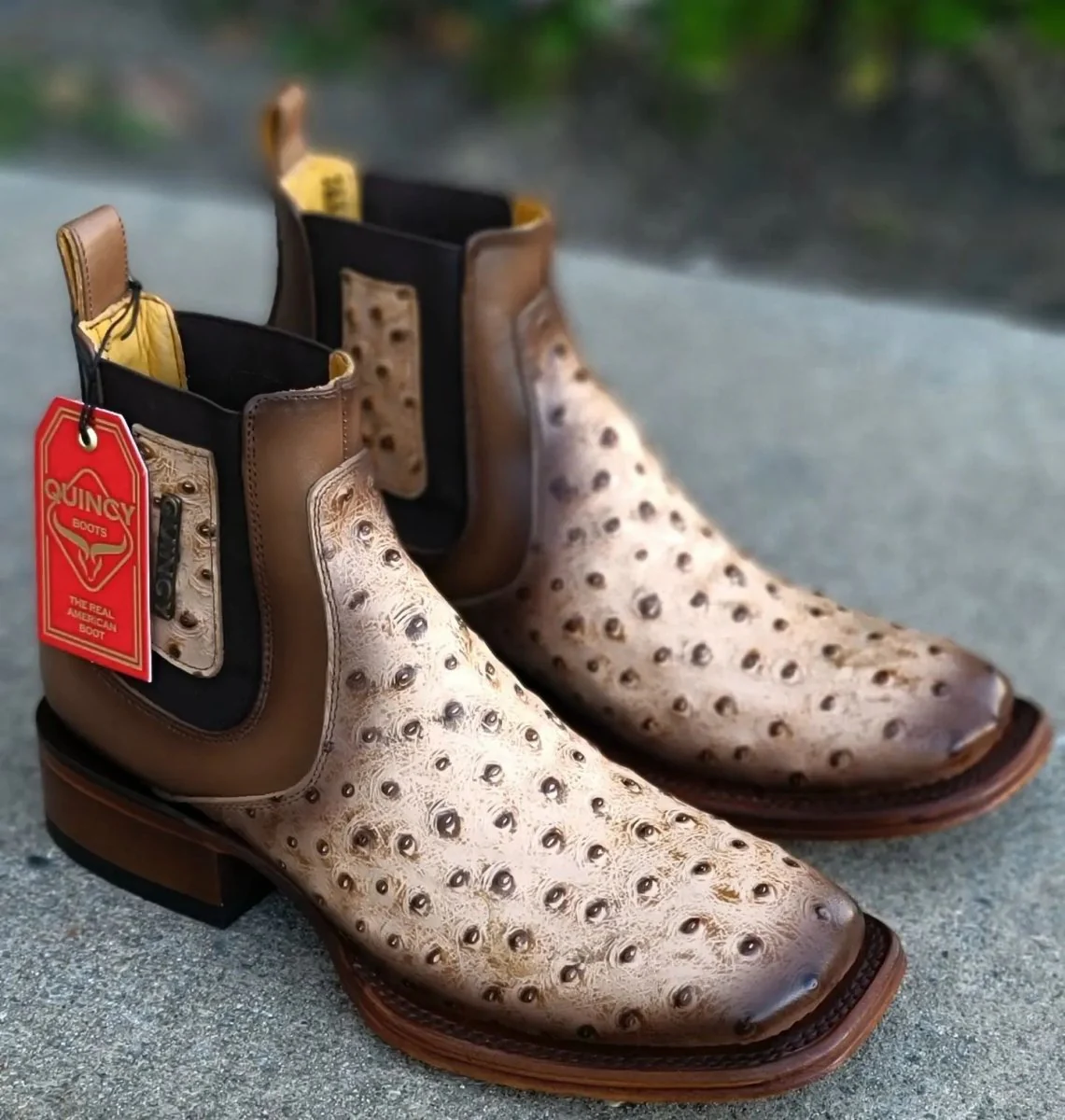 Botin de Avestruz Grabado con Punta Cuadrada Q82B0311 - Imagen 8