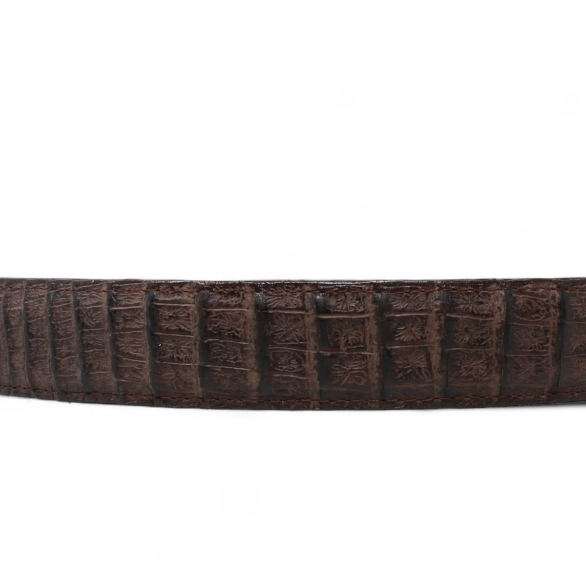 Cinturon de Piel Genuina con Estampado de Caiman Panza Hebilla Metálica Texas Cafe - Imagen 4