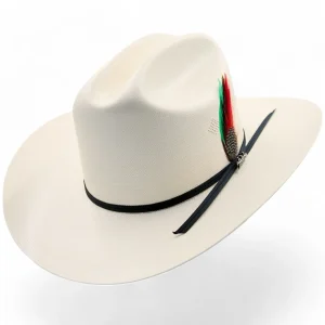 Sombrero Tombstone 100X Estilo Sinaloa con Plumas Ala 3"