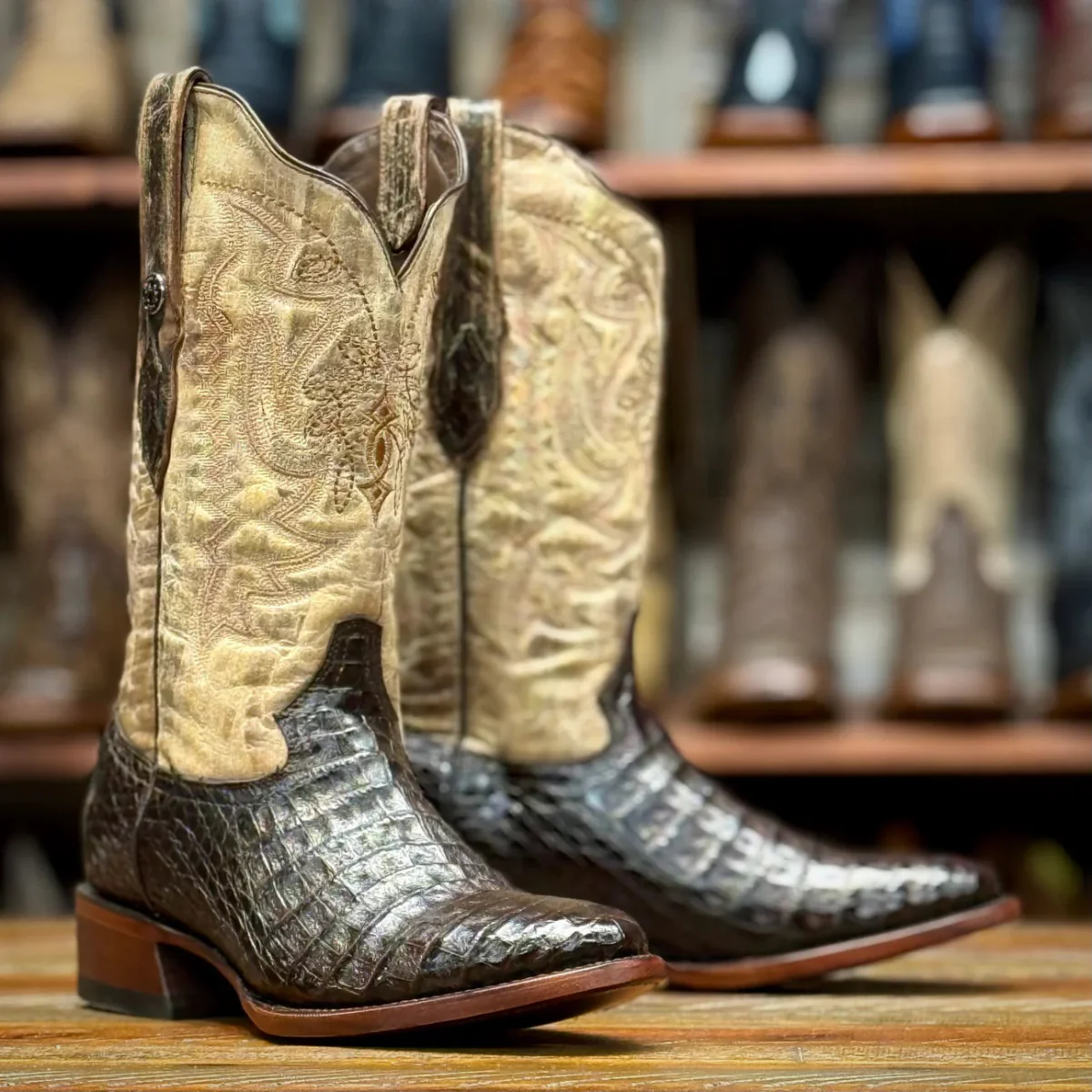 Tanner Mark Men's Genuine Caiman Belly Round Toe Boots - Brown