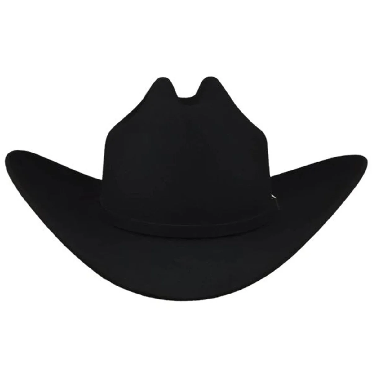 Texana Cuernos Chuecos 10X Horma Sinaloa Color Negro