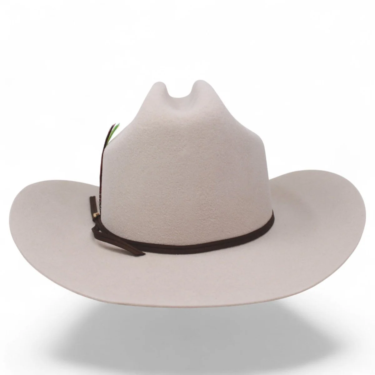 Texana Morcon 20X Estilo Sinaloa con Plumas Beige - Imagen 5