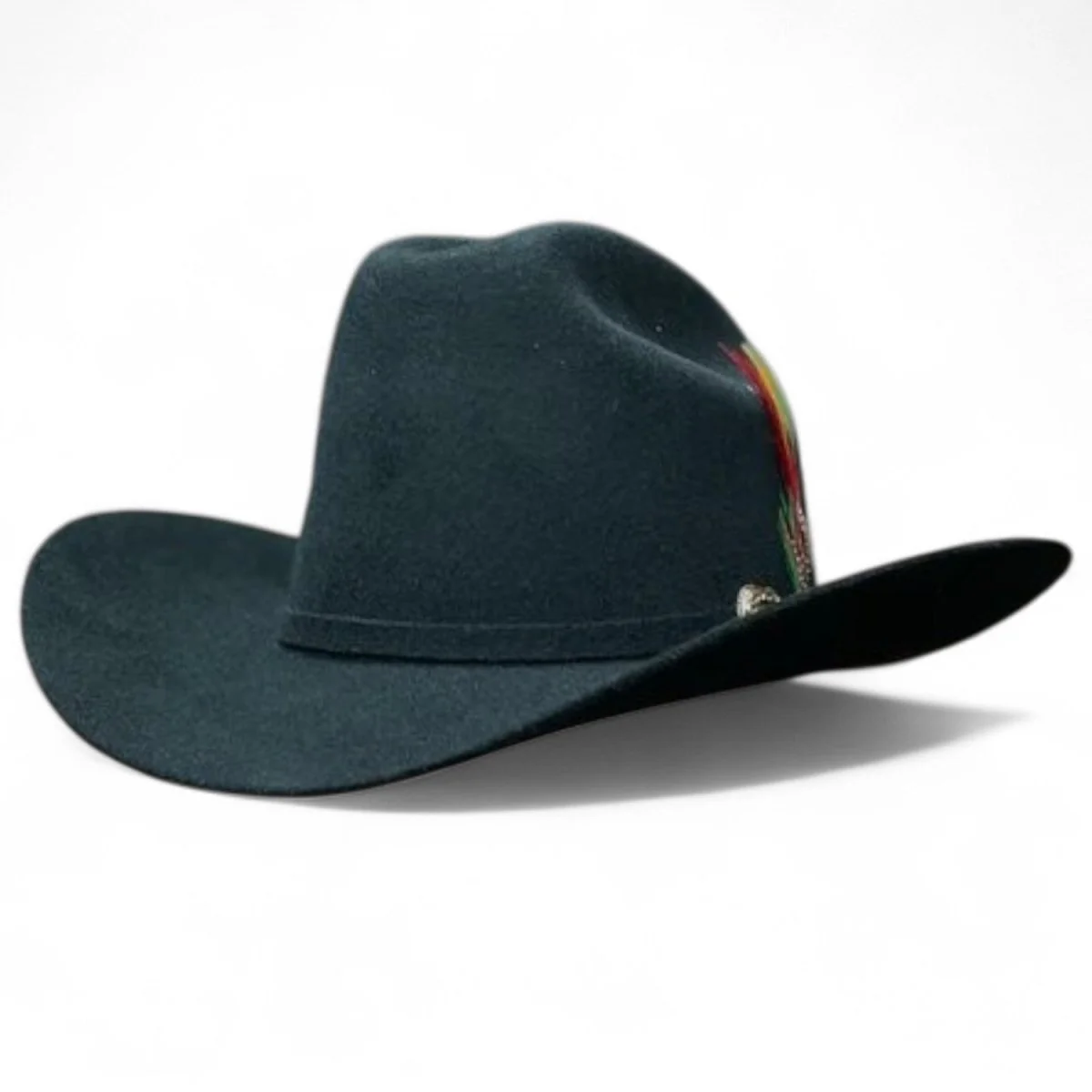 Texana Tombstone Horma Marlboro 20X con Plumas Color Negro - Imagen 2